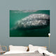 Underwater Photo Calif Gray Wall Decal Design 2