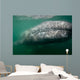 Underwater Photo Calif Gray Wall Decal Design 2