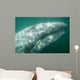 Headshot Adult Gray Whale Wall Decal