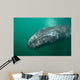 Underwater Photo Calif Gray Wall Decal Design 1
