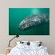 Underwater Photo Calif Gray Wall Decal Design 1