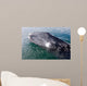 Gray Whale Calf near Wall Decal