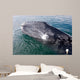 Gray Whale Calf near Wall Decal