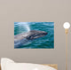Gray Whale Calf San Wall Decal