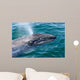 Gray Whale Calf San Wall Decal