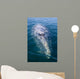 Adult California Gray Whale Wall Decal Design 3