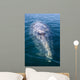 Adult California Gray Whale Wall Decal Design 3