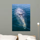 Adult California Gray Whale Wall Decal Design 3