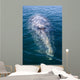 Adult California Gray Whale Wall Decal Design 3