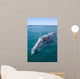 Adult California Gray Whale Wall Decal Design 2