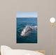 Adult California Gray Whale Wall Decal Design 1