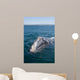Adult California Gray Whale Wall Decal Design 1