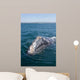 Adult California Gray Whale Wall Decal Design 1