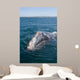 Adult California Gray Whale Wall Decal Design 1
