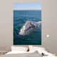 Adult California Gray Whale Wall Decal Design 1