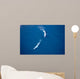 Aerial Two Blue Whales Wall Decal