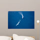 Aerial Two Blue Whales Wall Decal