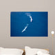 Aerial Two Blue Whales Wall Decal