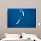 Aerial Two Blue Whales Wall Decal