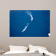 Aerial Two Blue Whales Wall Decal