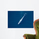 Aerial Blue Whale Gulf Wall Decal Design 4