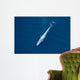 Aerial Blue Whale Gulf Wall Decal Design 4