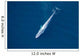 Aerial Blue Whale Gulf Wall Decal Design 4