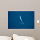 Aerial Blue Whale Gulf Wall Decal Design 3