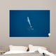 Aerial Blue Whale Gulf Wall Decal Design 3