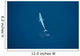 Aerial Blue Whale Gulf Wall Decal Design 3