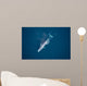 Aerial Blue Whale Gulf Wall Decal Design 2