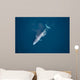 Aerial Blue Whale Gulf Wall Decal Design 2