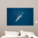 Aerial Blue Whale Gulf Wall Decal Design 2