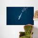 Aerial Blue Whale Gulf Wall Decal Design 1