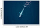 Aerial Blue Whale Gulf Wall Decal Design 1