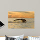 Tail Southern Right Whale Wall Decal Design 2