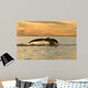 Tail Southern Right Whale Wall Decal Design 2