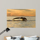 Tail Southern Right Whale Wall Decal Design 2