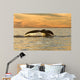 Tail Southern Right Whale Wall Decal Design 2