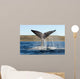 Southern Right Whale Raises Wall Decal