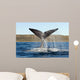 Southern Right Whale Raises Wall Decal