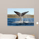 Southern Right Whale Raises Wall Decal