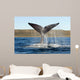 Southern Right Whale Raises Wall Decal