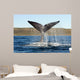 Southern Right Whale Raises Wall Decal