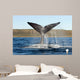 Southern Right Whale Raises Wall Decal