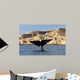 Tail Southern Right Whale Wall Decal Design 1