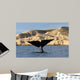 Tail Southern Right Whale Wall Decal Design 1
