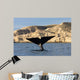 Tail Southern Right Whale Wall Decal Design 1