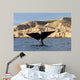 Tail Southern Right Whale Wall Decal Design 1