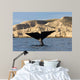 Tail Southern Right Whale Wall Decal Design 1